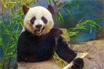National Zoo